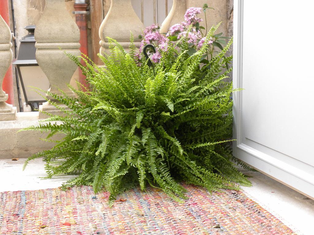 דירות מונפלייה La Terrasse Du Marche Aux Fleurs מראה חיצוני תמונה