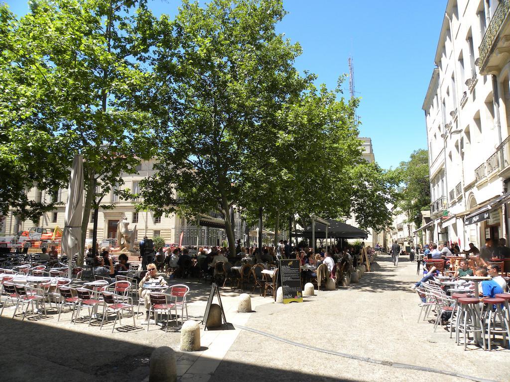 דירות מונפלייה La Terrasse Du Marche Aux Fleurs מראה חיצוני תמונה
