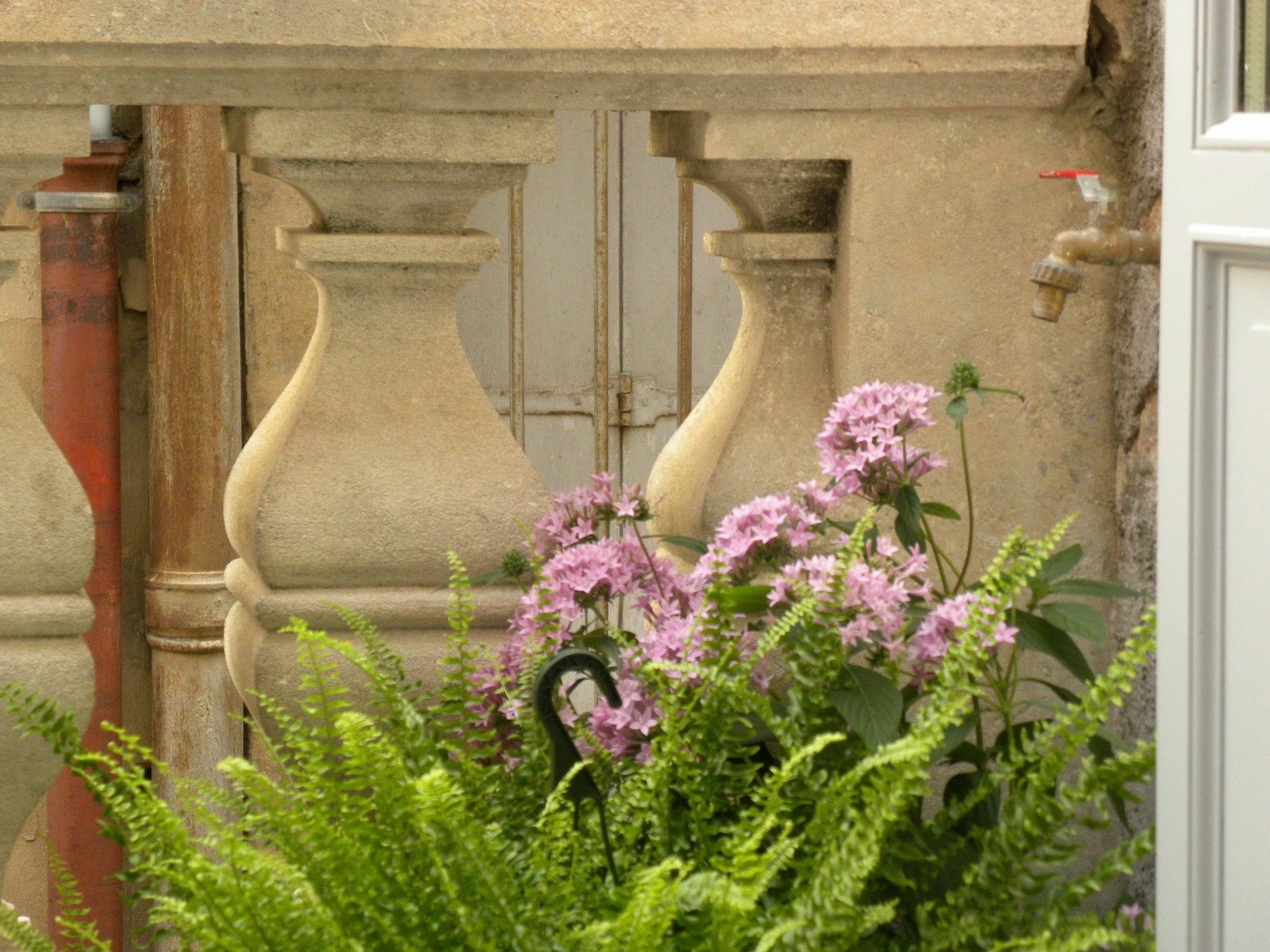 דירות מונפלייה La Terrasse Du Marche Aux Fleurs מראה חיצוני תמונה